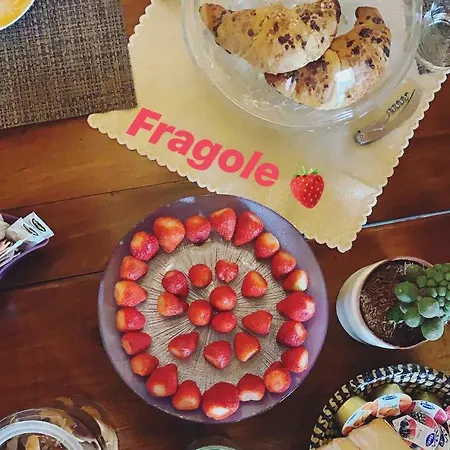 La Vecchia Soffitta * Cotignola