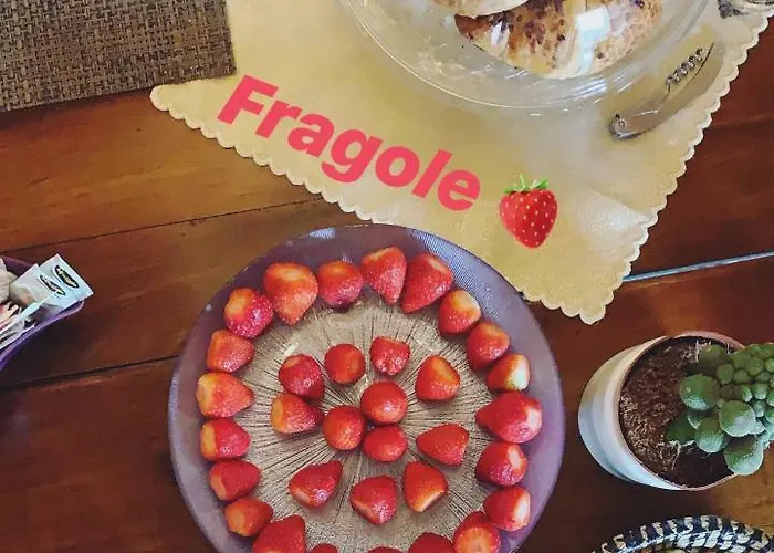 La Vecchia Soffitta * Cotignola